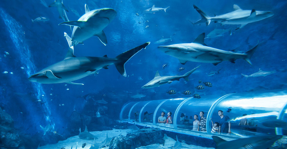 Singapore Itinerary